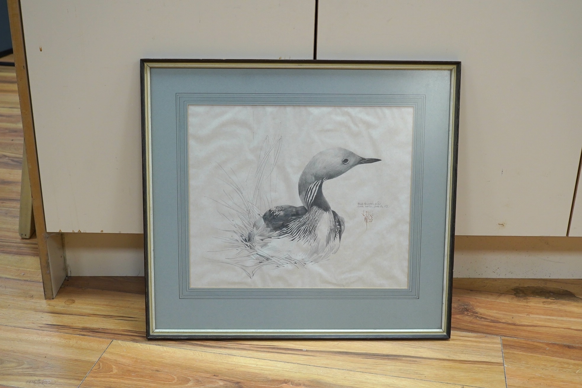 Raymond Harris Ching (New Zealand b.1939), pencil study of a black throated diver, 32.5x39cm. Condition- good